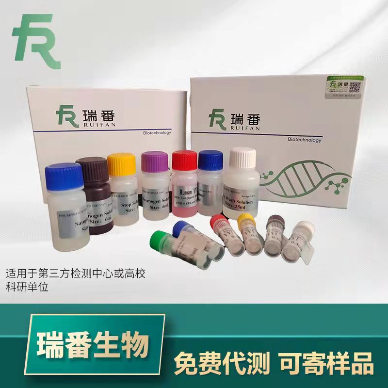 人S100A4鈣結(jié)合蛋白（S100A4）ELISA 試劑盒