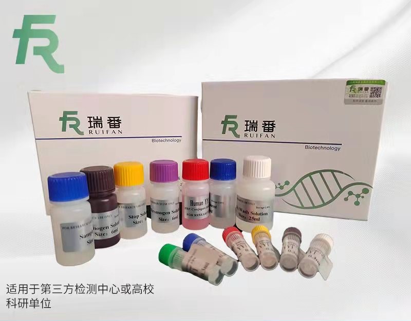 人N-甲基D-天冬氨酸型受體（NMDA-R）ELISA試劑盒